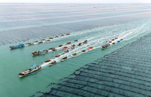 海洋经济已破10万亿，哪些城市和产业将受益？