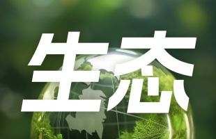 联合国气候变化框架公约秘书处发布气候政策评估新工具