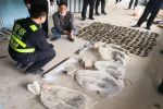 17人猎杀买卖禾花雀获刑：“极危动物”仅5元一只收购，催肥后20多元卖出？