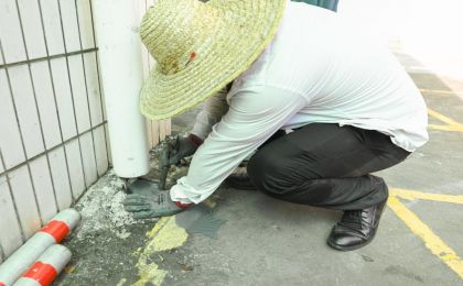 关于基孔肯雅热：会人传人吗？和登革热有何不同？如何防？