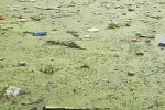 网友反映乌江开阳段成“垃圾江”，水务部门：已去航道检查？