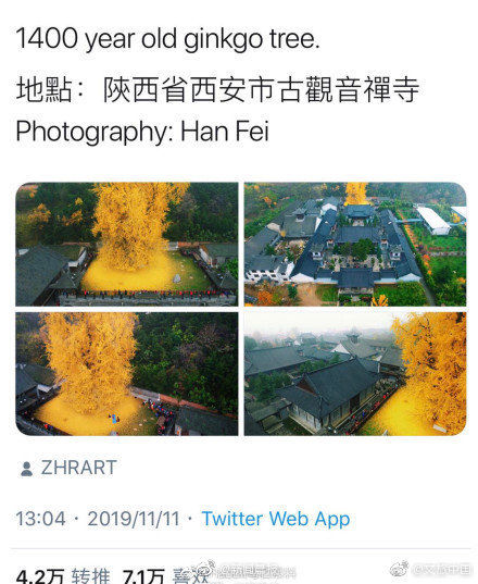 t017e2de9ead9226b8b.jpg
