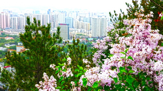 微信图片_20200529154224.jpg