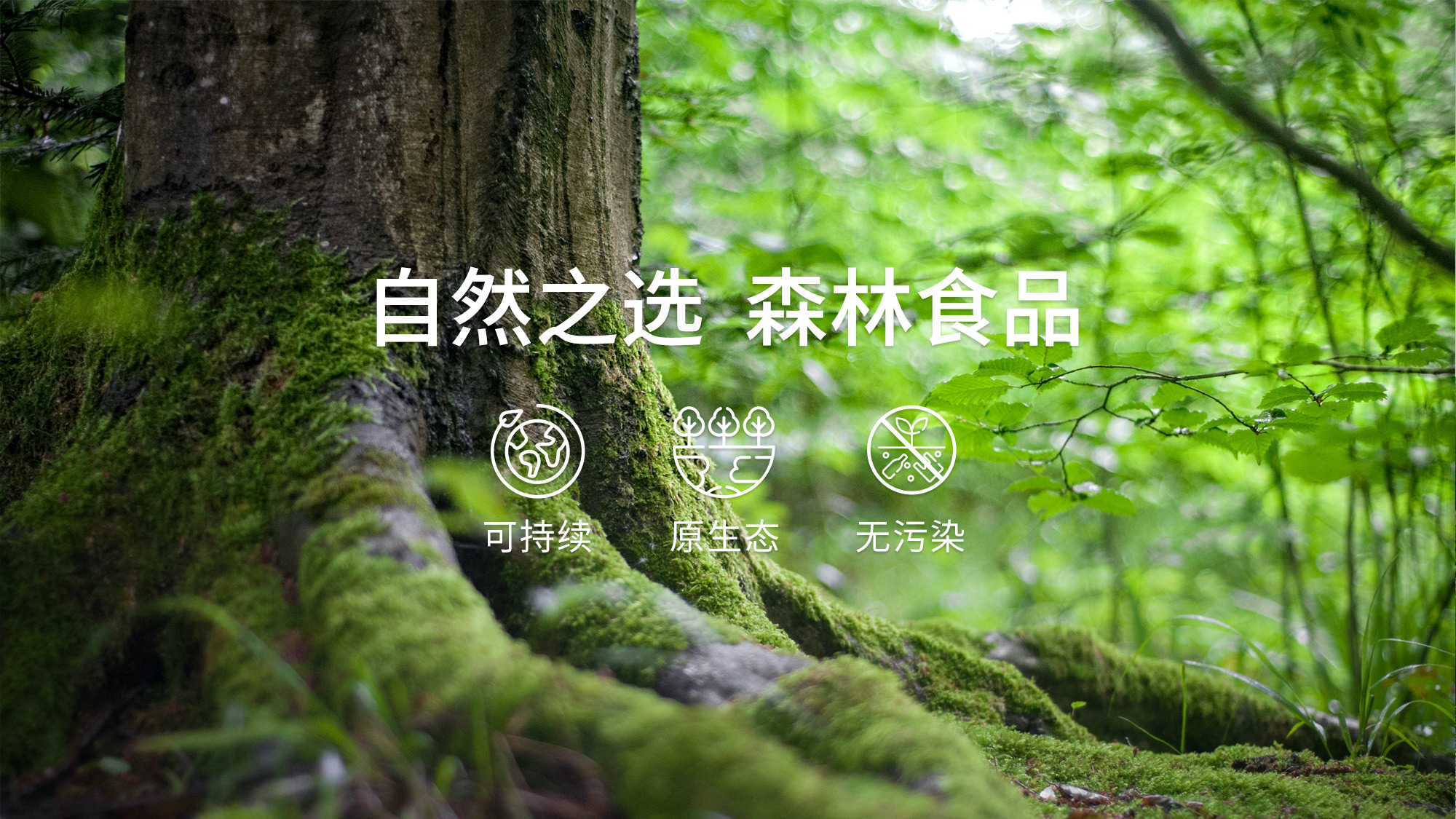 森林食品.jpg