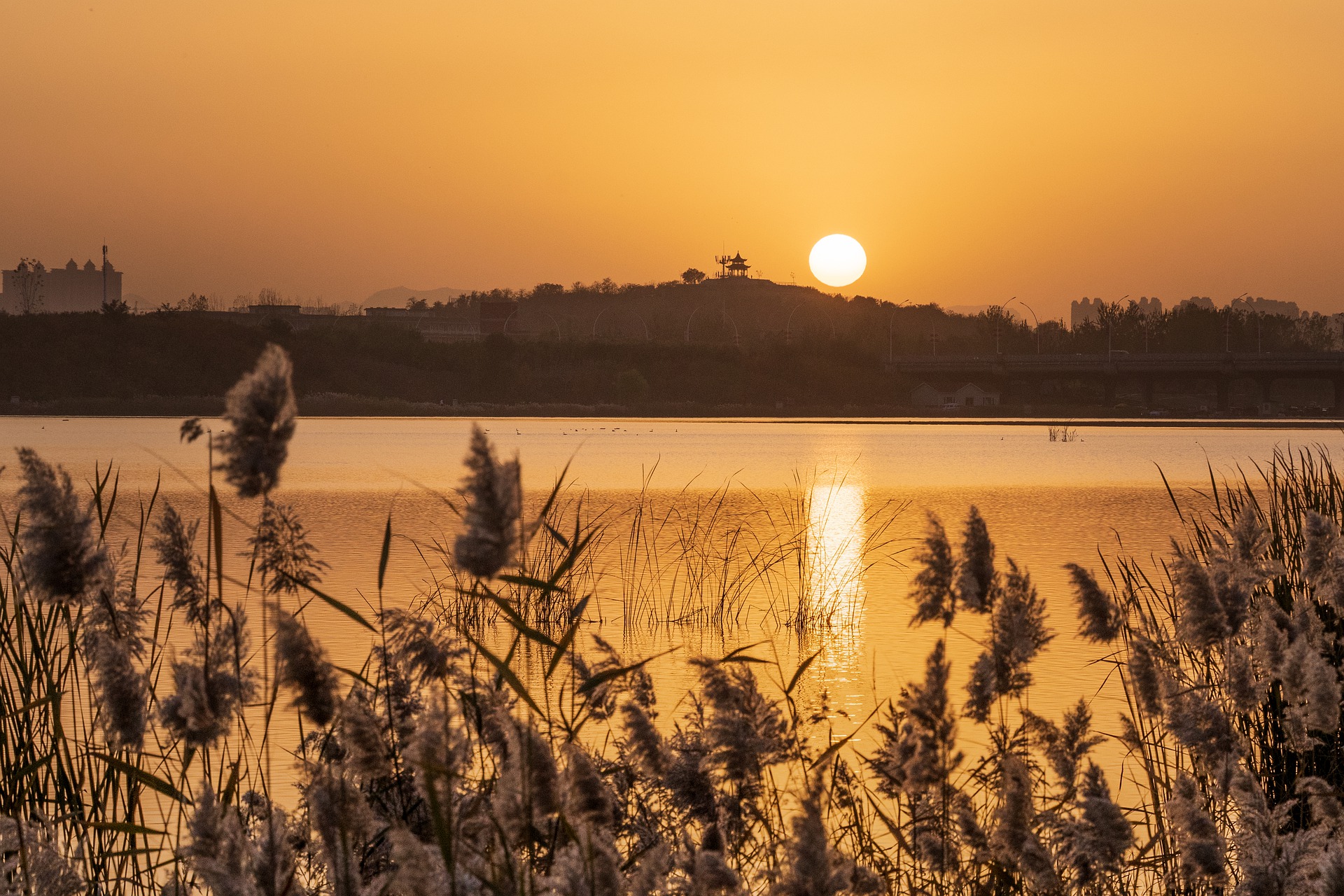 hebei-4914254_1920.jpg