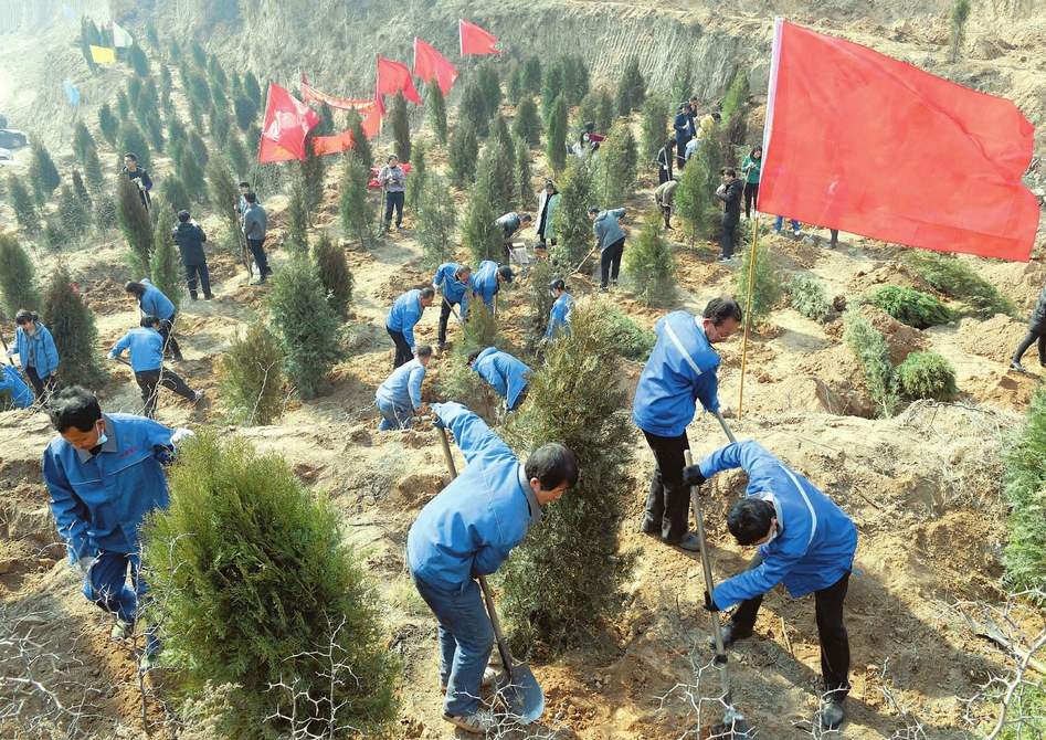 义务植树.jpg