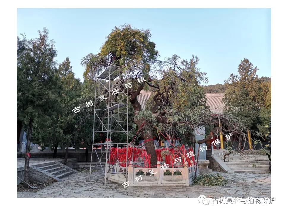 瘦身整形.jpg