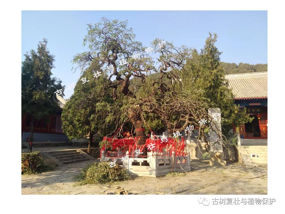 整形结束后.jpg