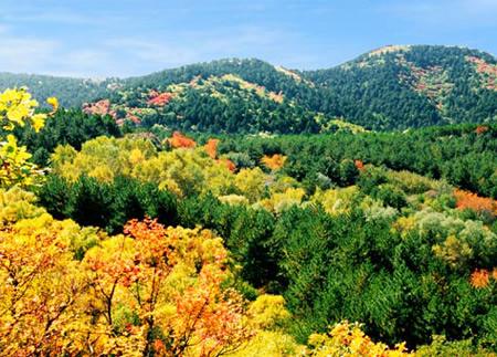 来绿水青山.jpg