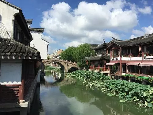 上海明星去.jpg