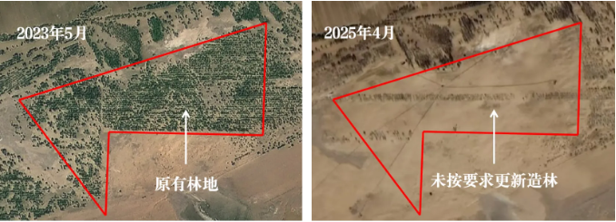1750058556124404.png