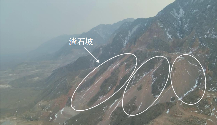 1750059399127480.png
