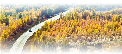 1768191570980327.jpg 甘肃张掖市临泽县的“.jpg