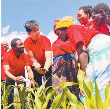 1768199541272113.png 马拉维中非科技小院.png