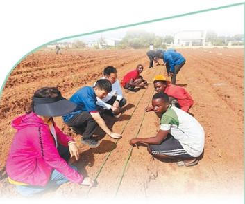 1768199561361892.png 赞比亚大豆科技小院专家指4.png