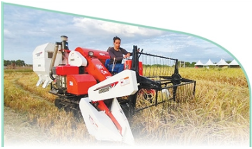 1768199640575831.png 在巴西阿波迪的一处稻田里,一名.png