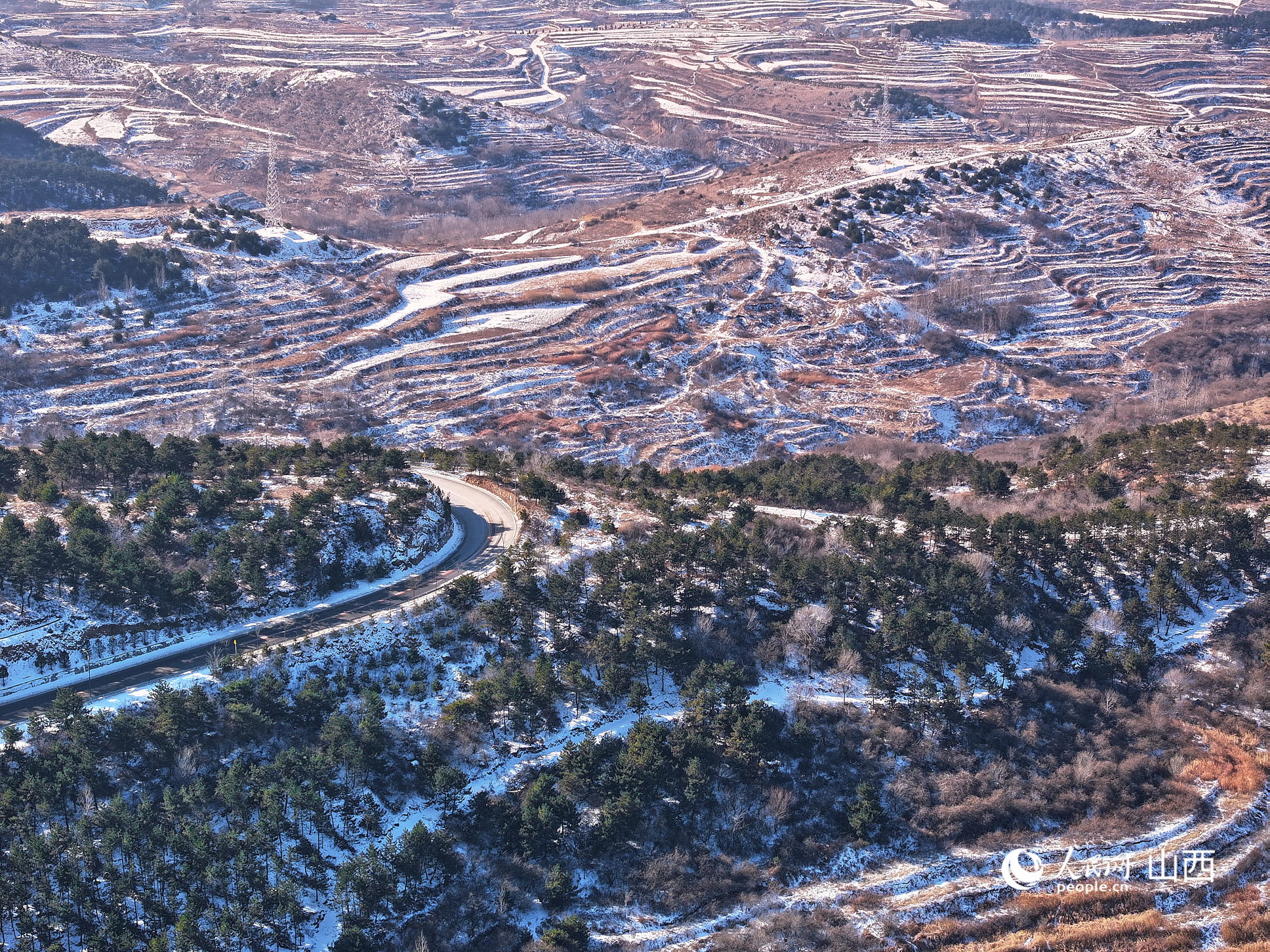 1768296986117763.jpg 2026年伊始,雪落.jpg