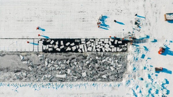 1768564914503078.jpg 哈尔滨冰雪大世界.jpg