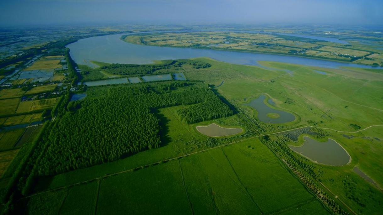 1769419212195280.png 图为湖北长江天鹅洲白鱀豚国家级自然保护区。.png