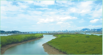 1770025355895247.png 福建厦门市下潭尾红树林公园。1.png