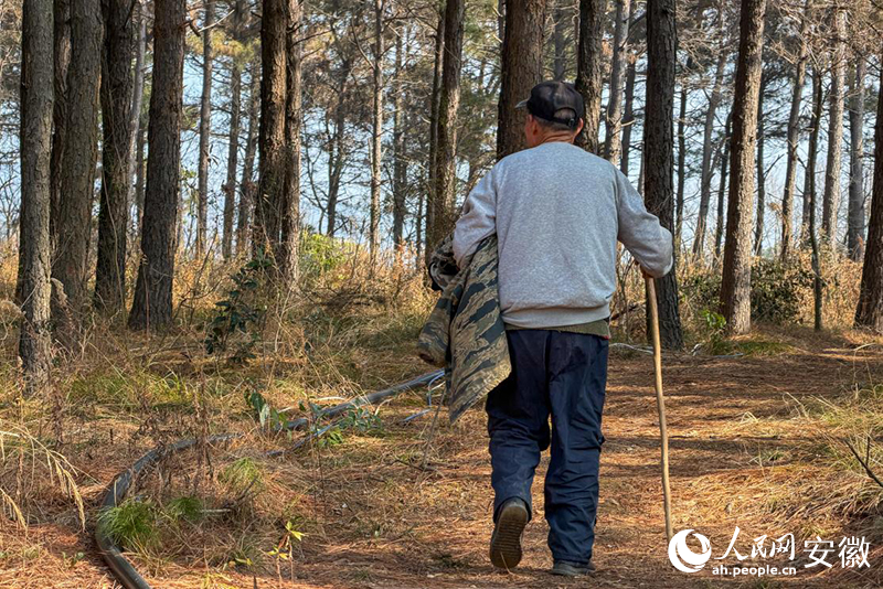 1773400094877657.jpg 年近80岁的易厚掌,还是会时常走上西塔.jpg