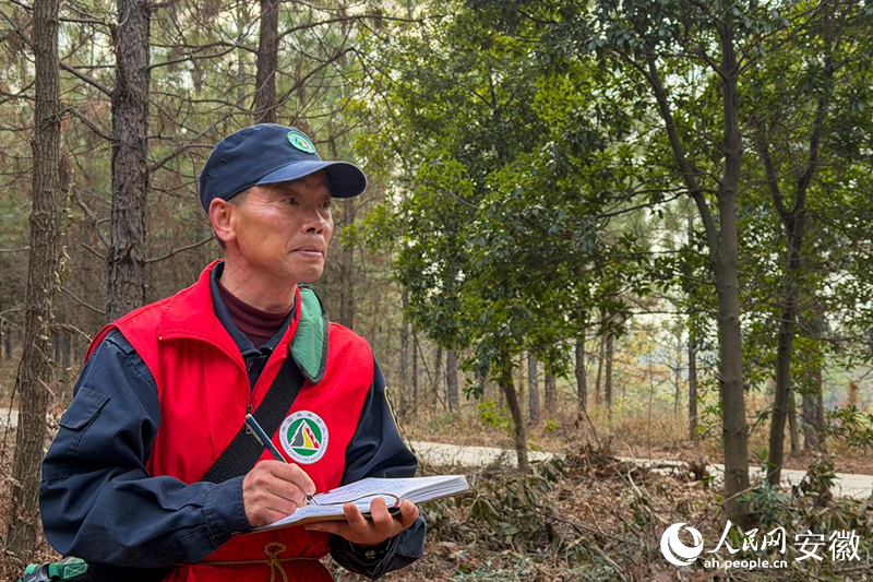 1773400139859220.jpg 储永刚在记录林间巡查结果。人民网记.jpg