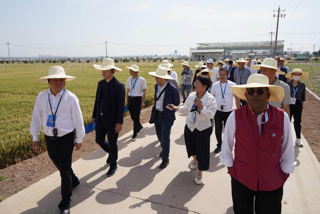 1773721735120921.jpg 2025年5月19日,上海合作组织减贫和可持续发展论坛与.jpg