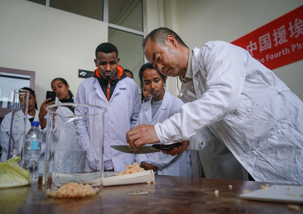 1773721754440134.jpg 2025年8月20日,在埃塞俄比亚首都亚的斯亚贝巴,中.jpg