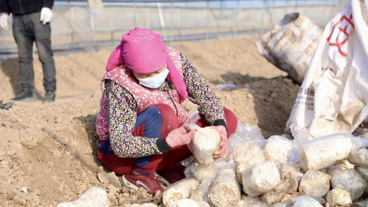 1773896753269283.jpg 农户在家门口就能增收致富。.jpg